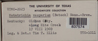 Image Associated With the Occurence